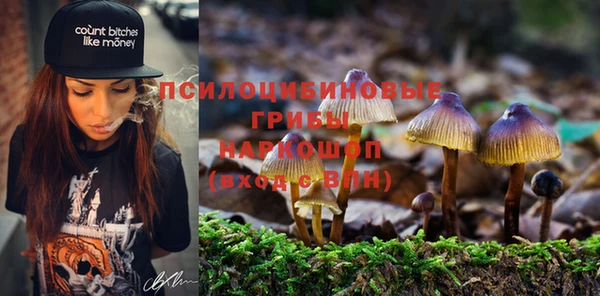 а пвп мука Алзамай