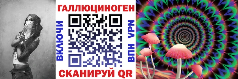 купить закладку  Сокол  Псилоцибиновые грибы мухоморы 